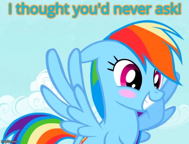 Amusy Blushed Rainbow Dash (MLP) | I thought you'd never ask! | image tagged in amusy blushed rainbow dash mlp | made w/ Imgflip meme maker