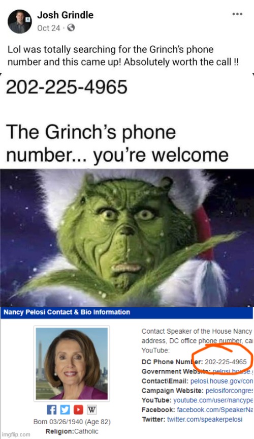 You're a mean one, mrs. grinch | image tagged in nancy pelosi,political meme | made w/ Imgflip meme maker