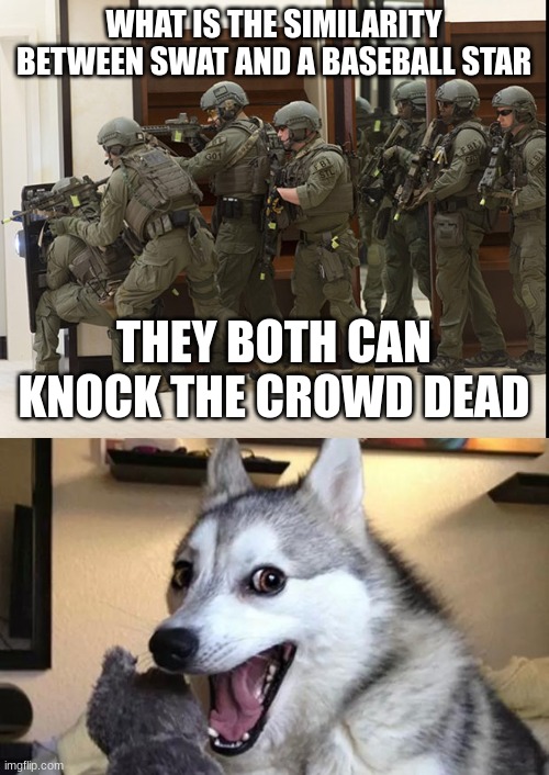 Bad pun dog joke took it too far | WHAT IS THE SIMILARITY BETWEEN SWAT AND A BASEBALL STAR; THEY BOTH CAN KNOCK THE CROWD DEAD | image tagged in fbi swat,pun dog - husky | made w/ Imgflip meme maker