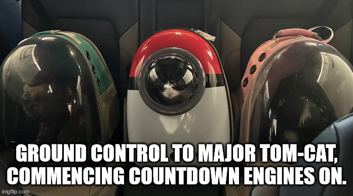 Major Tom Cat | GROUND CONTROL TO MAJOR TOM-CAT, COMMENCING COUNTDOWN ENGINES ON. | image tagged in cats,cat memes | made w/ Imgflip meme maker