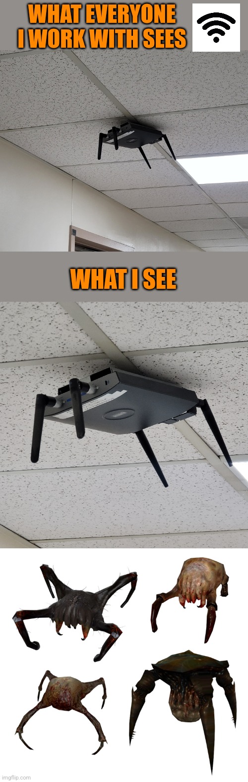Watch out! Head Crab | WHAT EVERYONE I WORK WITH SEES; WHAT I SEE | image tagged in half-life,wifi | made w/ Imgflip meme maker