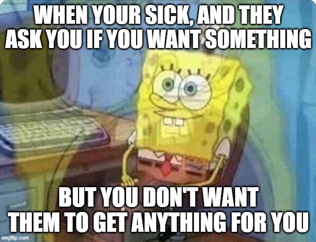 spongebob screaming inside |  WHEN YOUR SICK, AND THEY ASK YOU IF YOU WANT SOMETHING; BUT YOU DON'T WANT THEM TO GET ANYTHING FOR YOU | image tagged in spongebob screaming inside | made w/ Imgflip meme maker