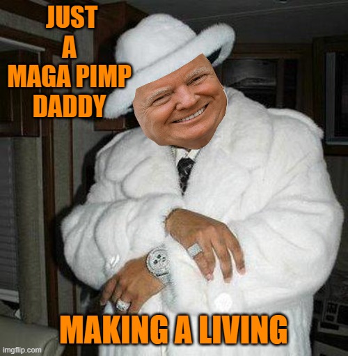 pimp c | JUST A MAGA PIMP DADDY MAKING A LIVING | image tagged in pimp c | made w/ Imgflip meme maker