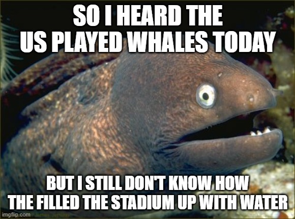 ha ha funni | SO I HEARD THE US PLAYED WHALES TODAY; BUT I STILL DON'T KNOW HOW THE FILLED THE STADIUM UP WITH WATER | image tagged in memes,bad joke eel,jokes,lol so funny,comedy | made w/ Imgflip meme maker