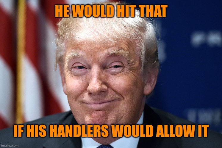 Trump smiles | HE WOULD HIT THAT IF HIS HANDLERS WOULD ALLOW IT | image tagged in trump smiles | made w/ Imgflip meme maker