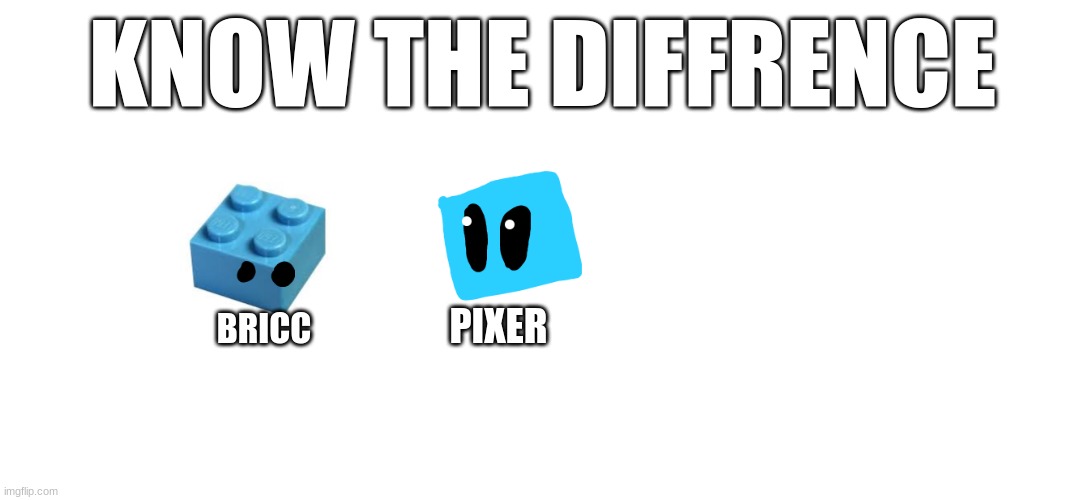 THEY ARENT THE SAME pixer isnt a lego | KNOW THE DIFFRENCE; PIXER; BRICC | made w/ Imgflip meme maker