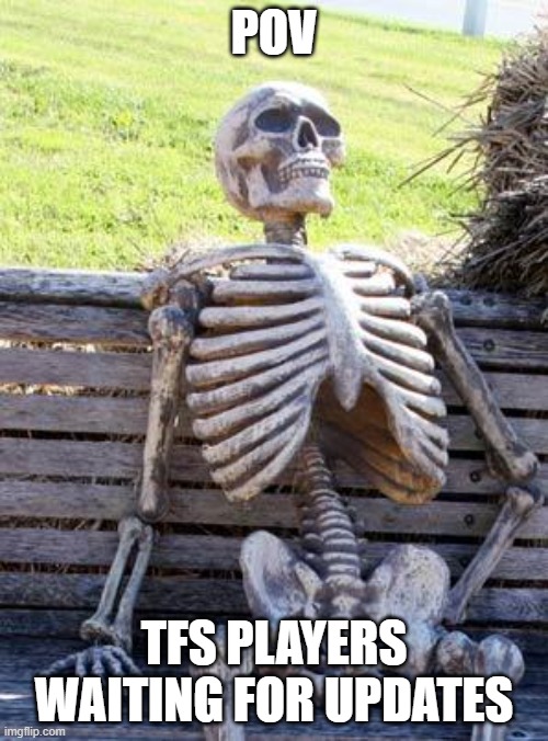 True | POV; TFS PLAYERS WAITING FOR UPDATES | image tagged in memes,waiting skeleton | made w/ Imgflip meme maker