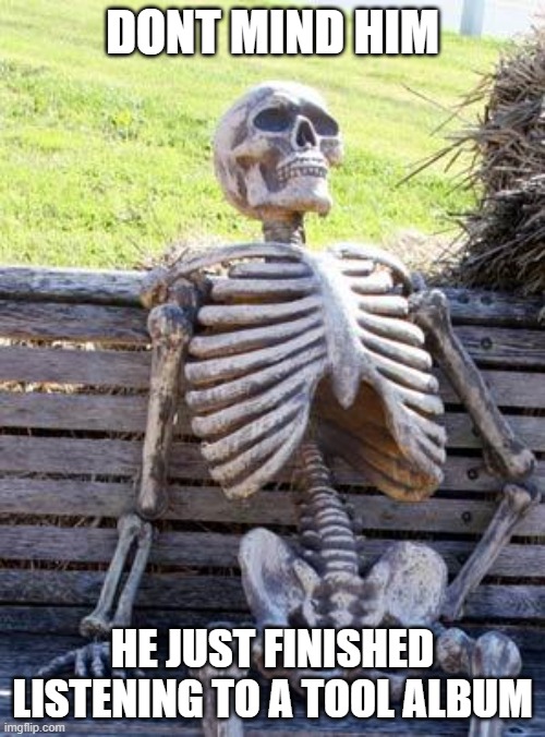 Waiting Skeleton | DONT MIND HIM; HE JUST FINISHED LISTENING TO A TOOL ALBUM | image tagged in memes,waiting skeleton | made w/ Imgflip meme maker