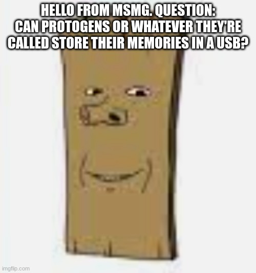 plankjak | HELLO FROM MSMG. QUESTION: CAN PROTOGENS OR WHATEVER THEY'RE CALLED STORE THEIR MEMORIES IN A USB? | image tagged in plankjak | made w/ Imgflip meme maker