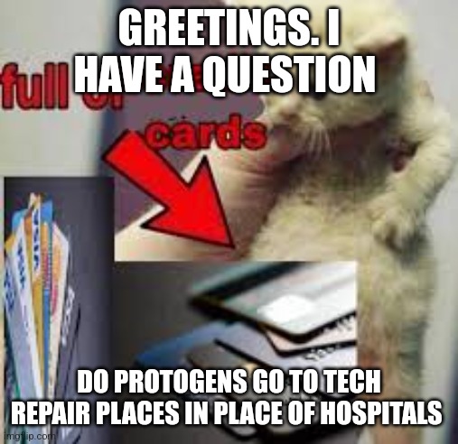 cat full of credit cards | GREETINGS. I HAVE A QUESTION; DO PROTOGENS GO TO TECH REPAIR PLACES IN PLACE OF HOSPITALS | image tagged in cat full of credit cards | made w/ Imgflip meme maker