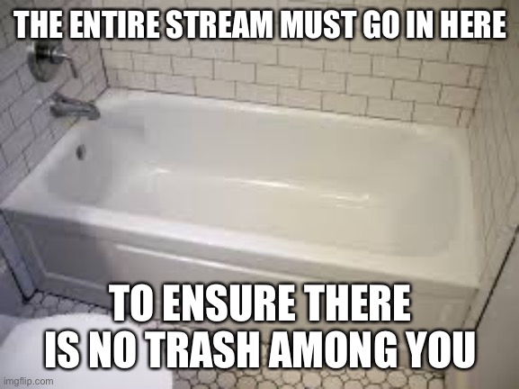 Bathtub | THE ENTIRE STREAM MUST GO IN HERE TO ENSURE THERE IS NO TRASH AMONG YOU | image tagged in bathtub | made w/ Imgflip meme maker