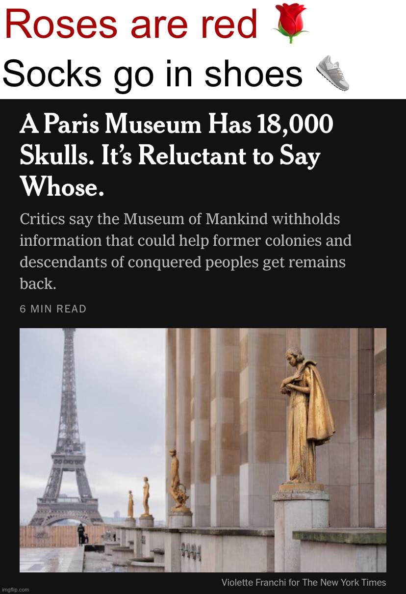 Damn. Should mb try to figure that out. Francophobia | Roses are red 🌹; Socks go in shoes 👟 | image tagged in roses are red,socks go in shoes,a paris museum has,18000 skulls,but whose,francophobia | made w/ Imgflip meme maker