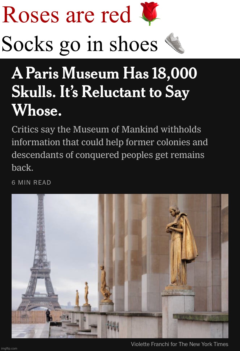 Paris museum skulls | Roses are red 🌹; Socks go in shoes 👟 | image tagged in paris museum skulls | made w/ Imgflip meme maker