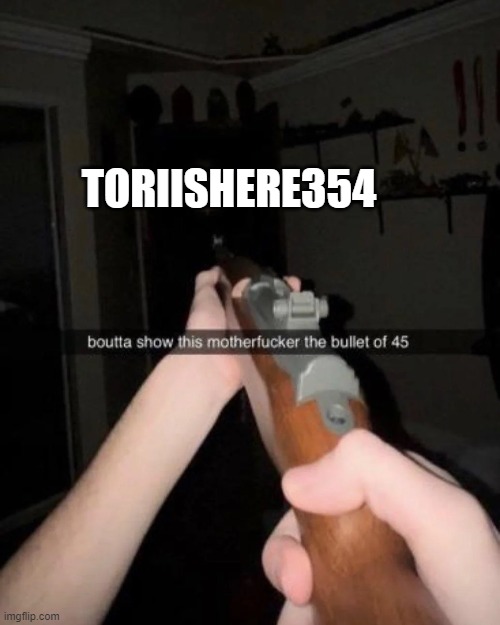 TORIISHERE354 | made w/ Imgflip meme maker