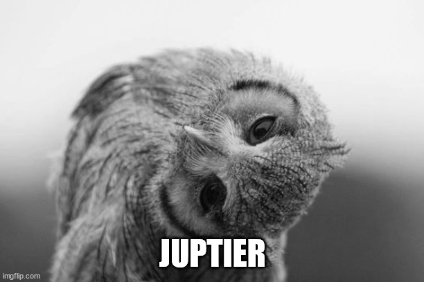 Owl with head tilted to the side | JUPTIER | image tagged in owl with head tilted to the side | made w/ Imgflip meme maker