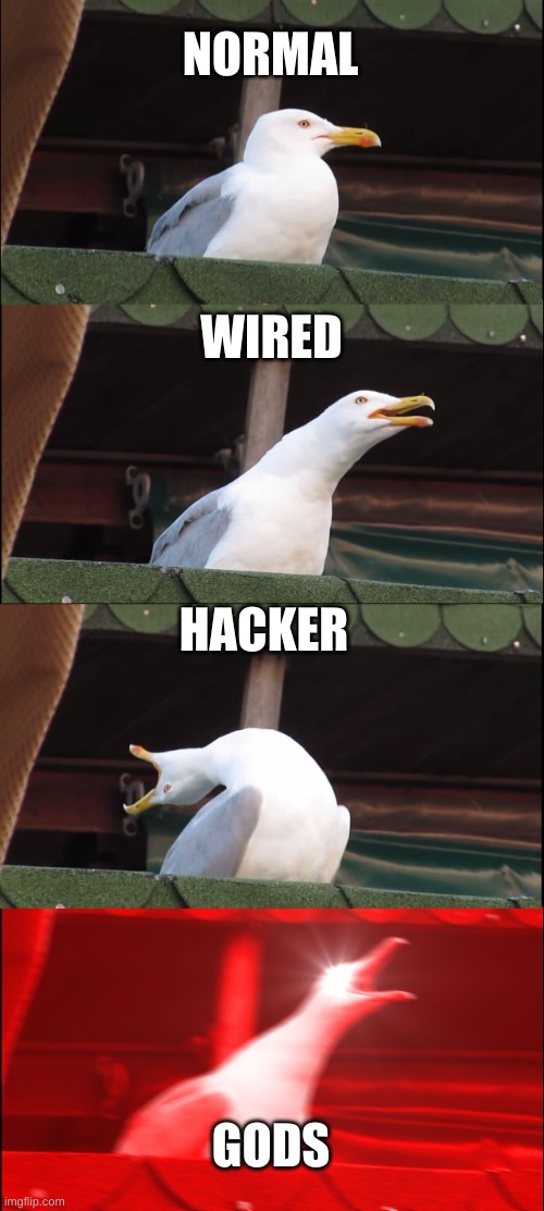 SUS | NORMAL; WIRED; HACKER; GODS | image tagged in memes,inhaling seagull | made w/ Imgflip meme maker