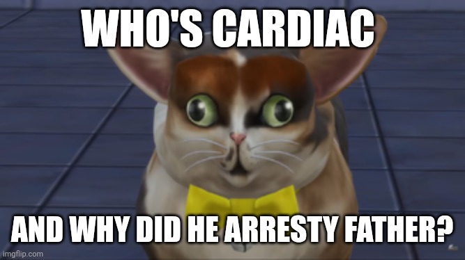 Dark humor of the day | WHO'S CARDIAC; AND WHY DID HE ARREST FATHER? | image tagged in spleens the cat | made w/ Imgflip meme maker