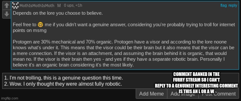COMMENT BANNED IN THE FURRY STREAM SO I CAN'T REPLY TO A GENUINELY INTERESTING COMMENT
IS THIS AN L OR A W | made w/ Imgflip meme maker