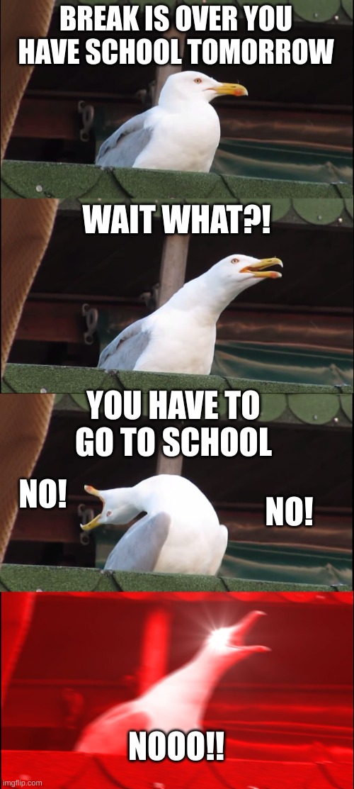 thought you had no school | BREAK IS OVER YOU HAVE SCHOOL TOMORROW; WAIT WHAT?! YOU HAVE TO GO TO SCHOOL; NO! NO! NOOO!! | image tagged in memes,inhaling seagull | made w/ Imgflip meme maker