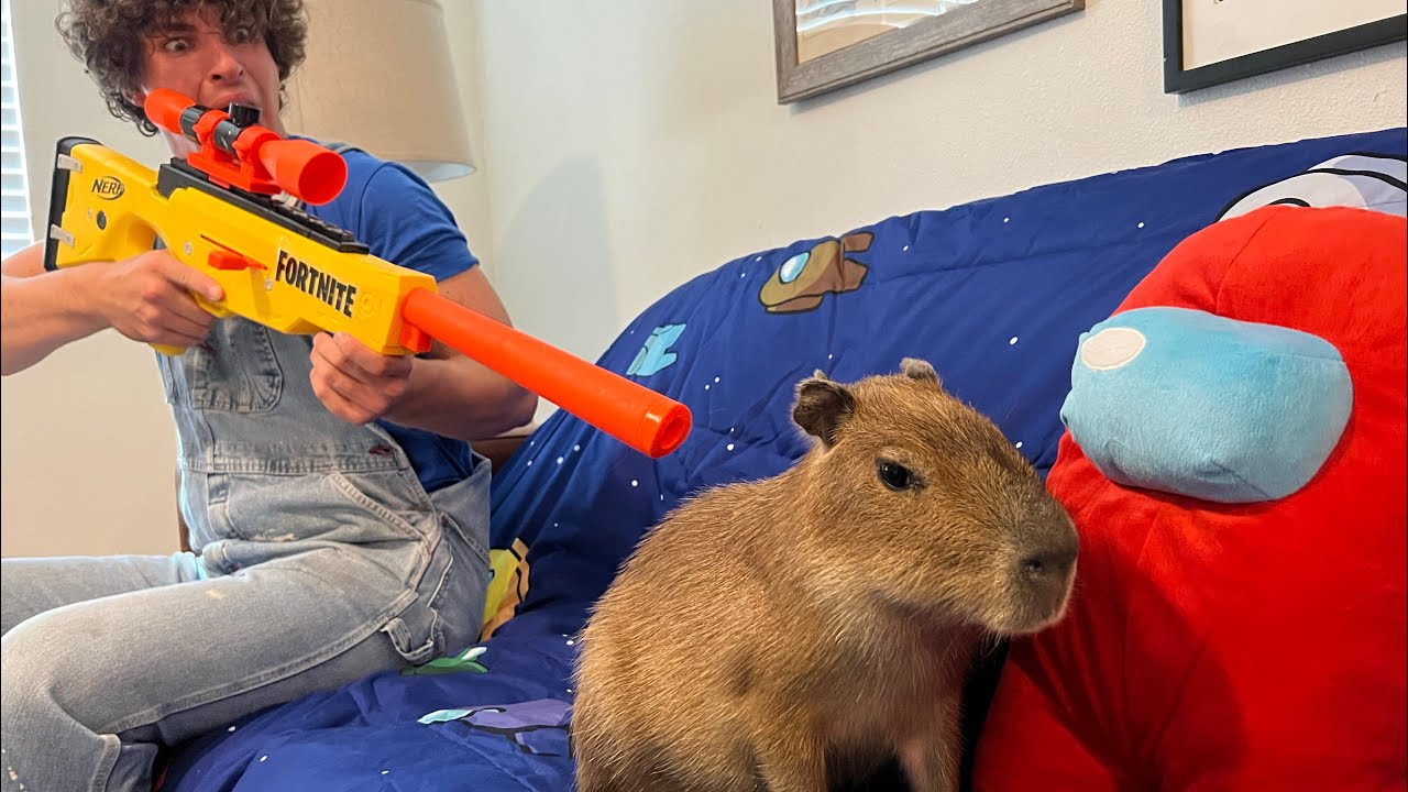 High Quality Capybara gun Blank Meme Template