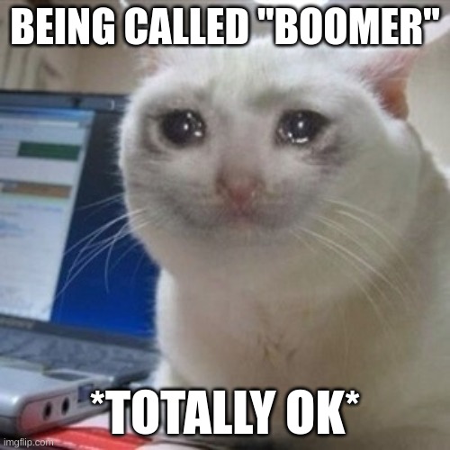 Crying cat | BEING CALLED "BOOMER"; *TOTALLY OK* | image tagged in crying cat | made w/ Imgflip meme maker