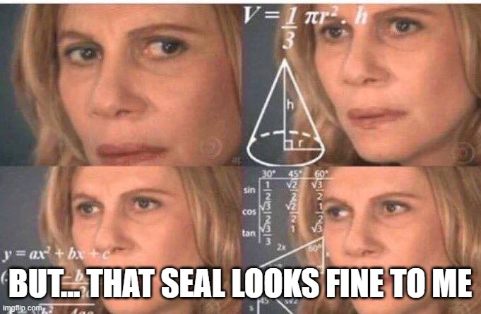 Math lady/Confused lady | BUT... THAT SEAL LOOKS FINE TO ME | image tagged in math lady/confused lady | made w/ Imgflip meme maker