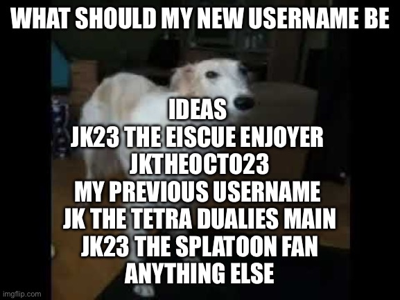 Low quality borzoi dog | WHAT SHOULD MY NEW USERNAME BE; IDEAS 
JK23 THE EISCUE ENJOYER 
JKTHEOCTO23
MY PREVIOUS USERNAME 
JK THE TETRA DUALIES MAIN
JK23 THE SPLATOON FAN
ANYTHING ELSE | image tagged in low quality borzoi dog | made w/ Imgflip meme maker