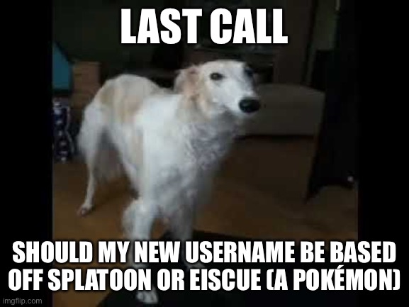 Low quality borzoi dog | LAST CALL; SHOULD MY NEW USERNAME BE BASED OFF SPLATOON OR EISCUE (A POKÉMON) | image tagged in low quality borzoi dog | made w/ Imgflip meme maker
