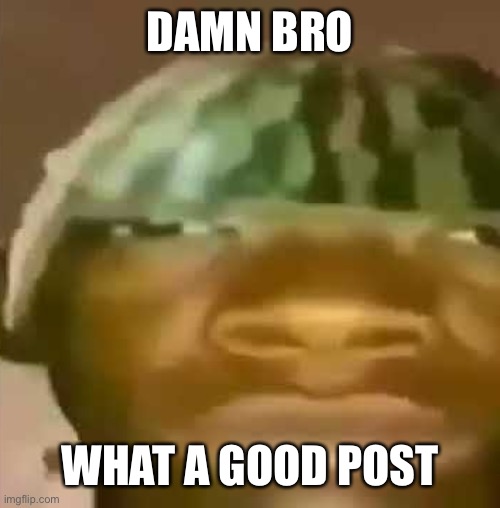 shitpost | DAMN BRO WHAT A GOOD POST | image tagged in shitpost | made w/ Imgflip meme maker