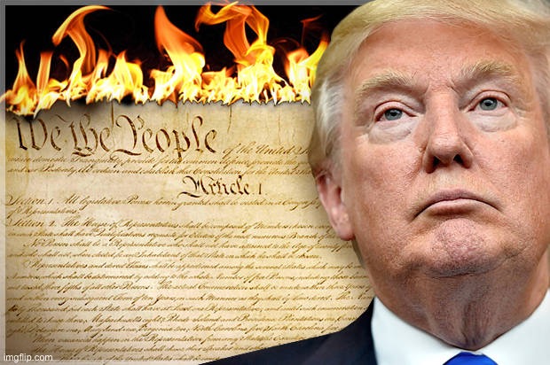 Trump Constitution | image tagged in trump constitution | made w/ Imgflip meme maker