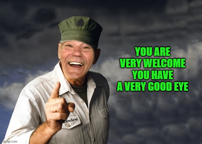 kewlew | YOU ARE VERY WELCOME YOU HAVE A VERY GOOD EYE | image tagged in kewlew | made w/ Imgflip meme maker
