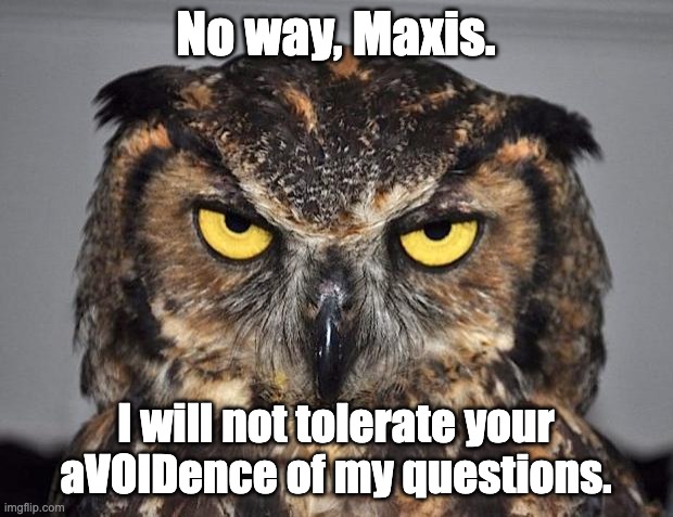 angry owl | No way, Maxis. I will not tolerate your aVOIDence of my questions. | image tagged in angry owl | made w/ Imgflip meme maker