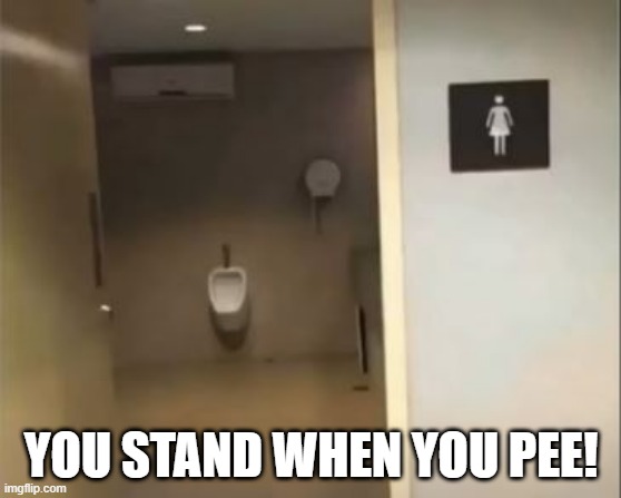 When You See It... | YOU STAND WHEN YOU PEE! | image tagged in you had one job | made w/ Imgflip meme maker