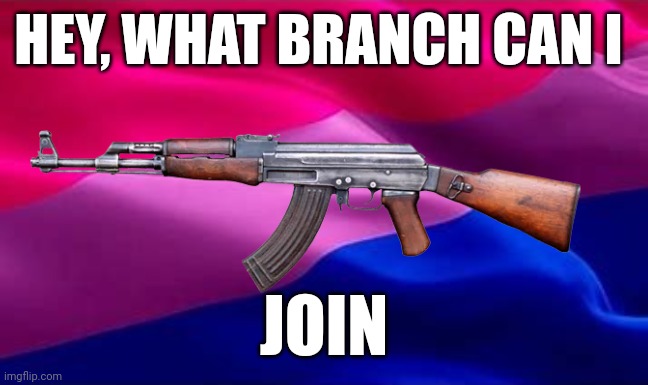 What branch can I join? | HEY, WHAT BRANCH CAN I; JOIN | image tagged in lgbtq | made w/ Imgflip meme maker