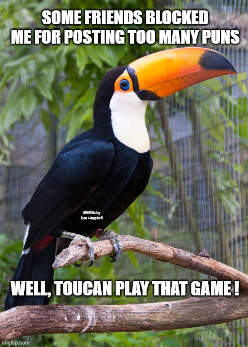 toucan |  SOME FRIENDS BLOCKED ME FOR POSTING TOO MANY PUNS; MEMEs by Dan Campbell; WELL, TOUCAN PLAY THAT GAME ! | image tagged in toucan | made w/ Imgflip meme maker