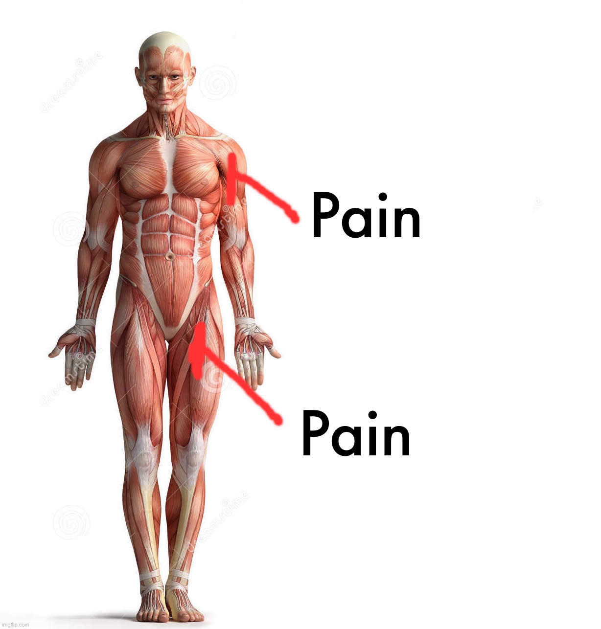 It hurt ☠️ | Pain; Pain | made w/ Imgflip meme maker