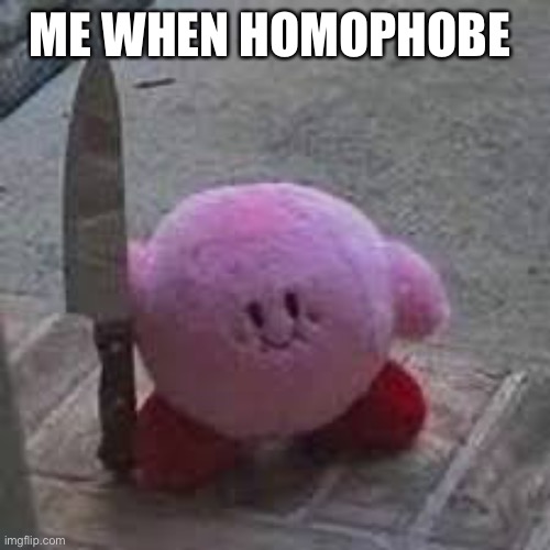 Kirby with a knife | ME WHEN HOMOPHOBE | image tagged in kirby with a knife | made w/ Imgflip meme maker