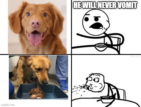 why do i think this is so funny | HE WILL NEVER VOMIT | image tagged in he will never,dog vomit,doggy,puppy,hilarious,memes | made w/ Imgflip meme maker
