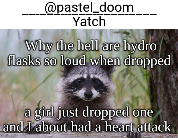 LAST POST I SWEAR | Why the hell are hydro flasks so loud when dropped; a girl just dropped one and I about had a heart attack | image tagged in yachi's raccoon temp thank you badoo | made w/ Imgflip meme maker