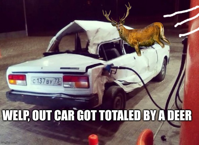 Broken Lada Car at petrol station | WELP, OUT CAR GOT TOTALED BY A DEER | image tagged in broken lada car at petrol station | made w/ Imgflip meme maker