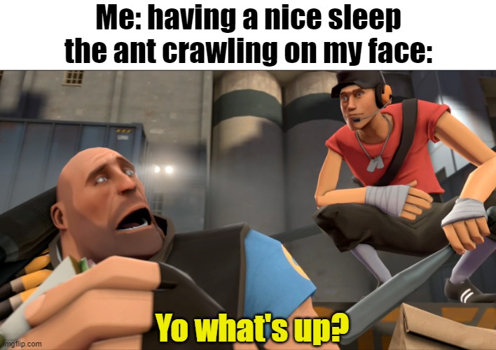 ant | Me: having a nice sleep
the ant crawling on my face:; Yo what's up? | image tagged in yo what's up,tf2 | made w/ Imgflip meme maker