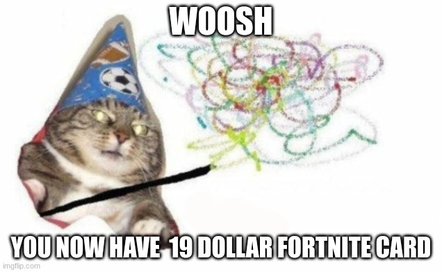 Woosh cat | WOOSH; YOU NOW HAVE  19 DOLLAR FORTNITE CARD | image tagged in woosh cat,gaming,19 dollar fortnite card,cat | made w/ Imgflip meme maker