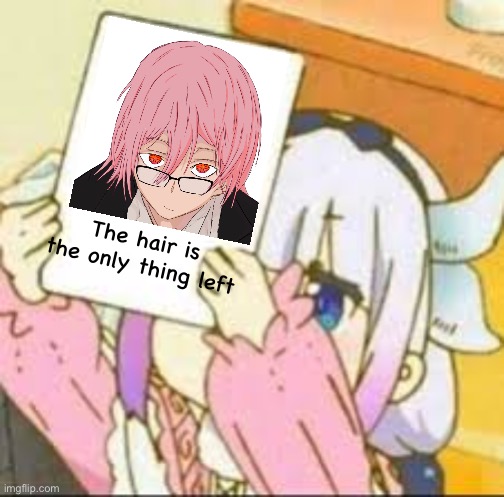 Kanna holding a sign. | The hair is the only thing left | image tagged in kanna holding a sign | made w/ Imgflip meme maker