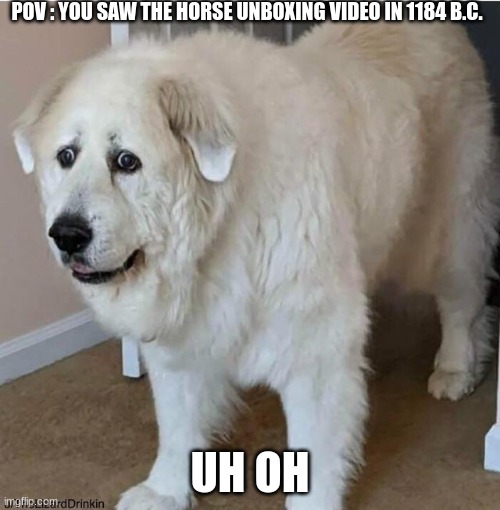 Oh no | POV : YOU SAW THE HORSE UNBOXING VIDEO IN 1184 B.C. UH OH | image tagged in scared dog | made w/ Imgflip meme maker