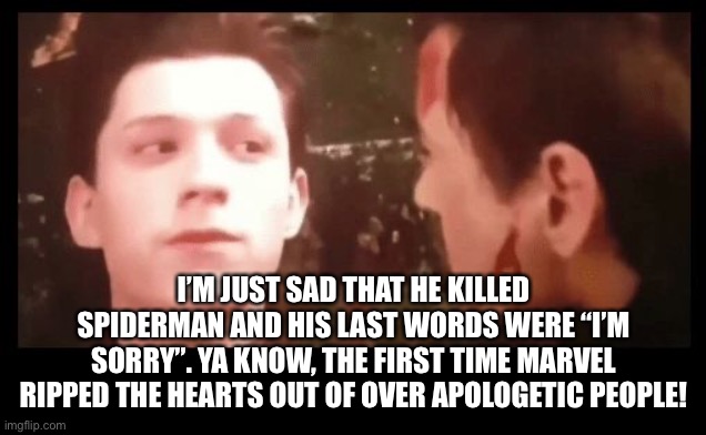 I don't wanna go, Mr. Stark | I’M JUST SAD THAT HE KILLED SPIDERMAN AND HIS LAST WORDS WERE “I’M SORRY”. YA KNOW, THE FIRST TIME MARVEL RIPPED THE HEARTS OUT OF OVER APOL | image tagged in i don't wanna go mr stark | made w/ Imgflip meme maker