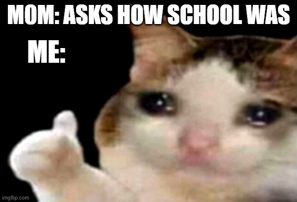 Yes | M0M: ASKS HOW SCHOOL WAS; ME: | image tagged in sad cat thumbs up | made w/ Imgflip meme maker