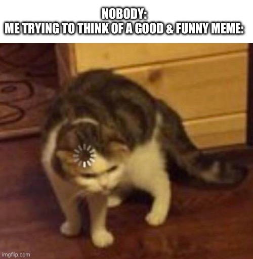 Thinking Cat | NOBODY:
ME TRYING TO THINK OF A GOOD & FUNNY MEME: | image tagged in thinking cat | made w/ Imgflip meme maker