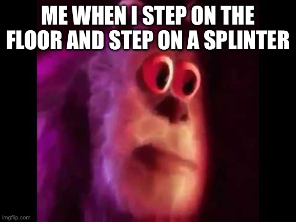 Sully Groan | ME WHEN I STEP ON THE FLOOR AND STEP ON A SPLINTER | image tagged in sully groan | made w/ Imgflip meme maker