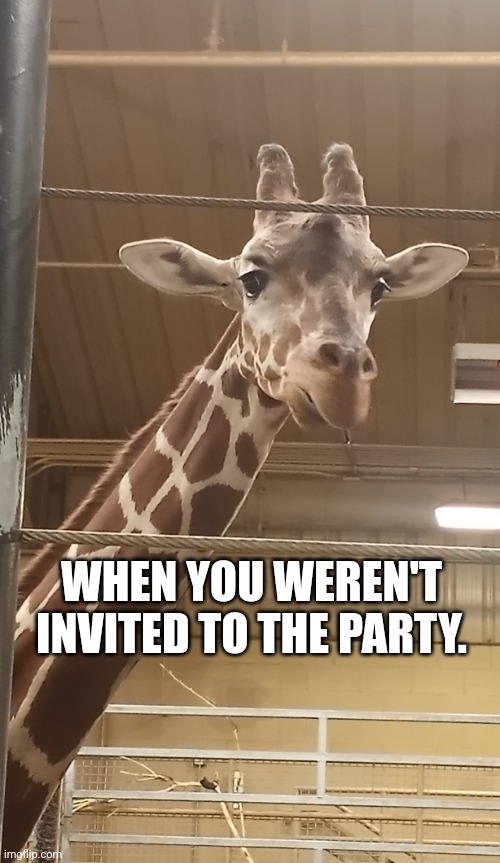 FOMO | WHEN YOU WEREN'T INVITED TO THE PARTY. | image tagged in missing | made w/ Imgflip meme maker