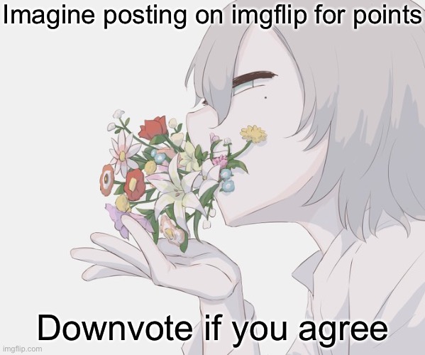Avogado6 | Imagine posting on imgflip for points; Downvote if you agree | image tagged in avogado6 | made w/ Imgflip meme maker